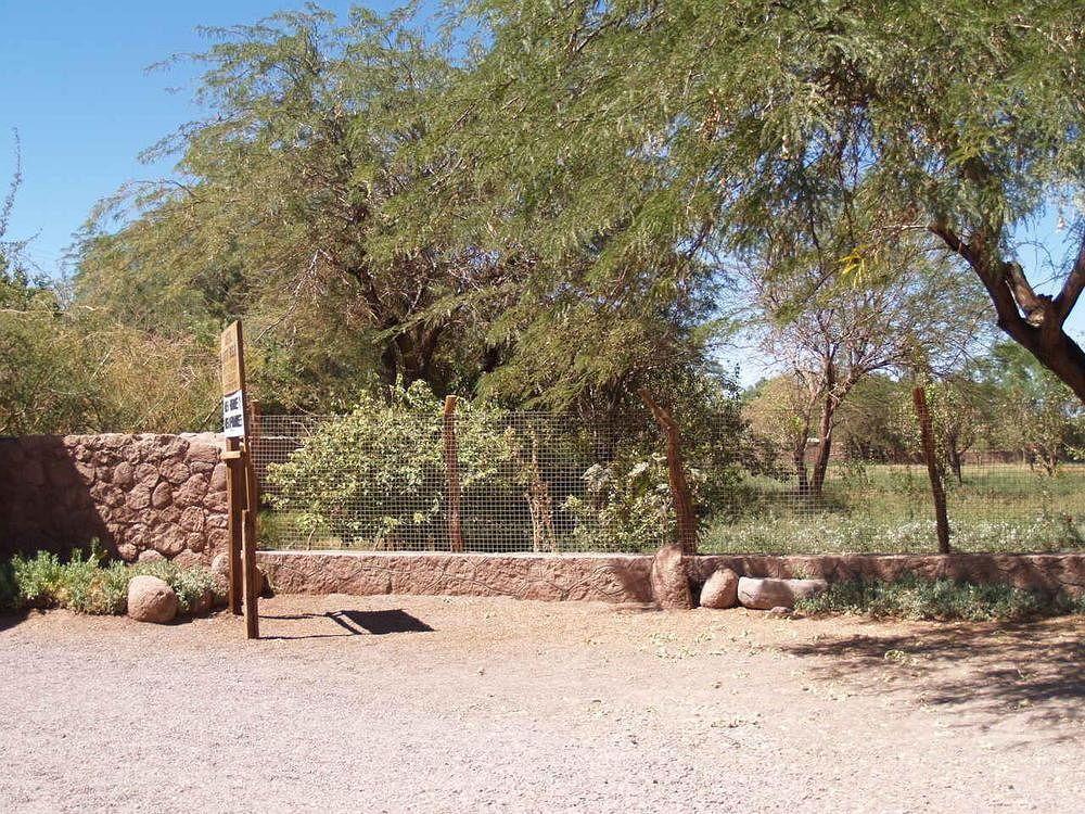Quinta Adela Bed & Breakfast San Pedro de Atacama Buitenkant foto