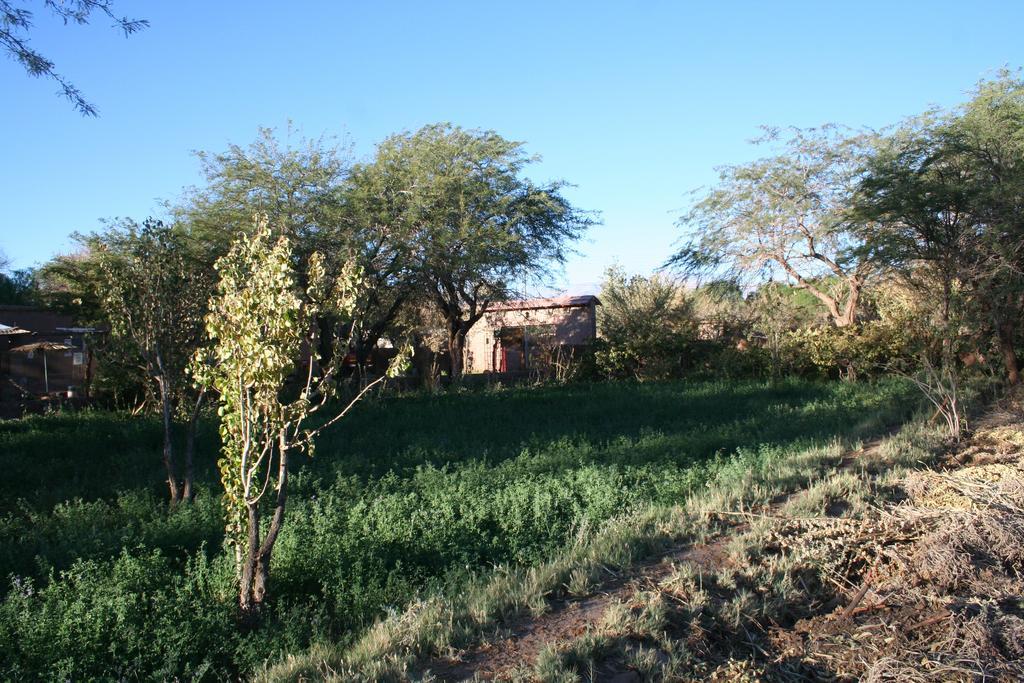 Quinta Adela Bed & Breakfast San Pedro de Atacama Buitenkant foto