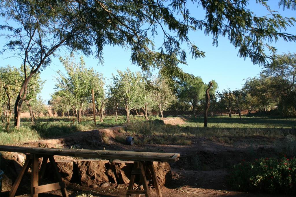 Quinta Adela Bed & Breakfast San Pedro de Atacama Buitenkant foto
