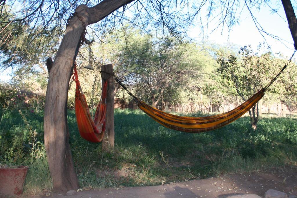 Quinta Adela Bed & Breakfast San Pedro de Atacama Buitenkant foto